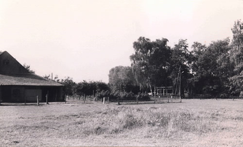 huisje tussen de berken